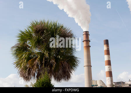 Schornsteine emittierende Dämpfe in der Nähe von Palme Stockfoto