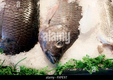 Frischfisch auf Eis Stockfoto