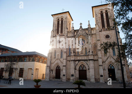Kathedrale von San Fernando in San Antonio, Texas, USA Stockfoto