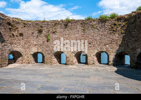 Wilde Pflanzen gedeihen auf dem Wand-Spaziergang über den Bombern im the16th Jahrhundert dicken Steinmauer aus dem Inneren der Bayard Cove Fort Stockfoto