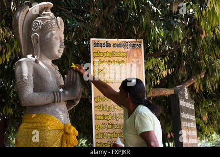 Eine Frau, eine gelbe Blume auf die Hände von Lord Buddha Idol erlernte Raja Maha Vihara Tempel in Colombo, Sri Lanka Stockfoto