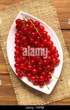 Rohe rote Johannisbeeren (lat. Ribes Rubrum) auf Platte, overhead auf dunklem Holz mit Tageslicht fotografiert Stockfoto