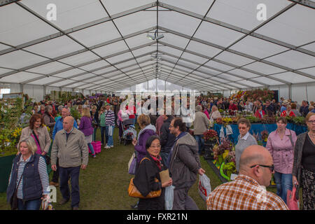 Der Royal Horticultural Society zeigen in Cardiff, 17. April 2016. Tausende von Menschen strömten zu die Ausstellungen zu sehen, Displays und Aussteller Stände Blume, wie Cardiff Feines trockenes Wetter für die meisten das Wochenende genossen. Bildnachweis: Chris Stevenson/Alamy Live-Nachrichten Stockfoto