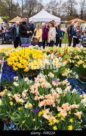 Der Royal Horticultural Society zeigen in Cardiff, 17. April 2016. Tausende von Menschen strömten zu die Ausstellungen zu sehen, Displays und Aussteller Stände Blume, wie Cardiff Feines trockenes Wetter für die meisten das Wochenende genossen. Bildnachweis: Chris Stevenson/Alamy Live-Nachrichten Stockfoto