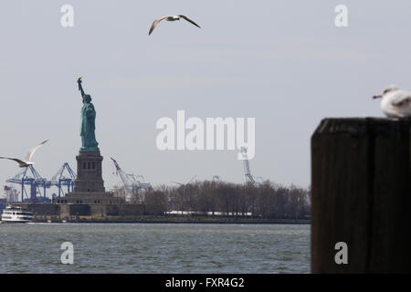 New York, USA. 11. April 2016. Ein Vogel fliegt in der Nähe der Liberty.Statue der Freiheitsstatue in New York City ein wichtiges touristisches Wahrzeichen im Big Apple. Die New Yorker Freiheitsstatue oder die Freiheit erleuchtet die Welt ist eine kolossale neoklassische Skulptur auf Liberty Island. Die Kupfer-Statue, entworfen von FrÅ½dÅ½ric Auguste Bartholdi, französischer Bildhauer, wurde von Gustave Eiffel gebaut und geweiht am 28. Oktober 1886. Es war ein Geschenk an die Vereinigten Staaten von den Franzosen. © Anna Sergeeva/ZUMA Draht/Alamy Live-Nachrichten Stockfoto
