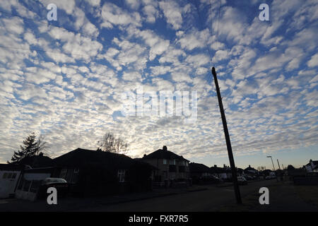 Epsom, Surrey, England, UK. 18. April 2016.  Ein schöner Morgen in Epsom Surrey mit ein spektakuläres Feuerwerk von Altocumulus-Wolken, Commomly als eine Makrele Himmel bekannt. Bildnachweis: Julia Gavin UK/Alamy Live-Nachrichten Stockfoto