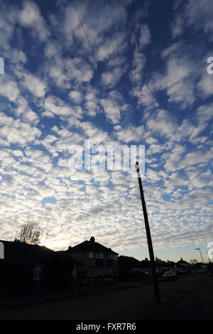 Epsom, Surrey, England, UK. 18. April 2016.  Ein schöner Morgen in Epsom Surrey mit ein spektakuläres Feuerwerk von Altocumulus-Wolken, Commomly als eine Makrele Himmel bekannt. Bildnachweis: Julia Gavin UK/Alamy Live-Nachrichten Stockfoto