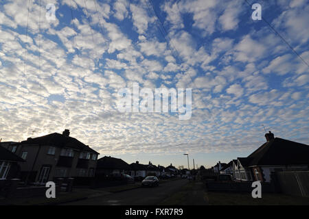 Epsom, Surrey, England, UK. 18. April 2016.  Ein schöner Morgen in Epsom Surrey mit ein spektakuläres Feuerwerk von Altocumulus-Wolken, Commomly als eine Makrele Himmel bekannt. Bildnachweis: Julia Gavin UK/Alamy Live-Nachrichten Stockfoto