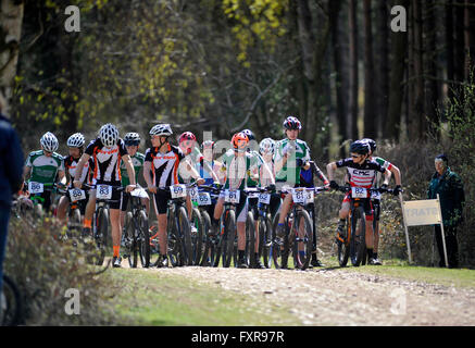 Woodbury Common, Devon, UK, 17. April 2016. Junioren und Jugend Rennfahrer bereiten Sie Runde 1 von der South West MTB XC Mountainbike-Rennen im Woodbury Common in der Nähe von Exeter statt zu starten. @ David Partridge / Alamy Live News Stockfoto