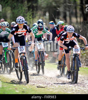 Woodbury Common, Devon, UK, 17. April 2016. Junior Konkurrenten von der Startlinie von Runde 1 von der South West MTB XC Mountainbike-Rennen findet statt am Woodbury Common in der Nähe von Exeter. @ David Partridge / Alamy Live News Stockfoto