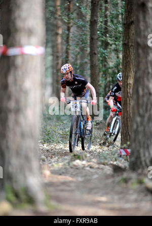 Woodbury Common, Devon, UK, 17. April 2016. Rennfahrer verhandelt die kurvenreichen Waldstück in Runde 1 von der South West MTB XC Mountainbike-Rennen im Woodbury Common in der Nähe von Exeter statt. @ David Partridge / Alamy Live News Stockfoto