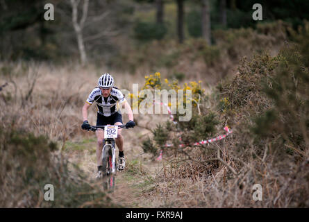 Woodbury Common, Devon, UK, 17. April 2016. Action von Runde 1 von der South West MTB XC Mountainbikerennen im Woodbury Common in der Nähe von Exeter statt. @ David Partridge / Alamy Live News Stockfoto