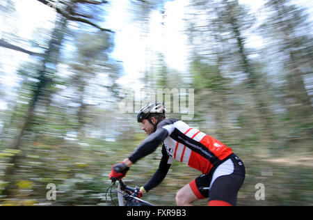 Woodbury Common, Devon, UK, 17. April 2016. Action von Runde 1 von der South West MTB XC Mountainbikerennen im Woodbury Common in der Nähe von Exeter statt. @ David Partridge / Alamy Live News Stockfoto