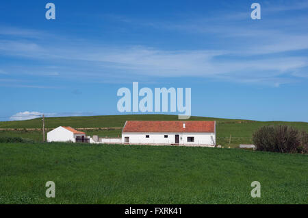 Ein Algarve-Bauernhaus Stockfoto