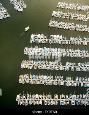 Luftaufnahme, Downtown Long Beach Boat Marina, Long Beach, Los Angeles County, Kalifornien, USA, Vereinigte Staaten von Amerika, Antenne Stockfoto