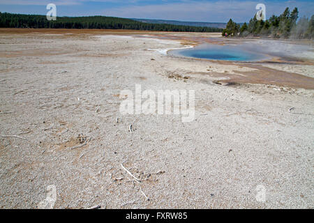 Celestine Pool am Brunnen Farbtopf, Yellowstone-Nationalpark Stockfoto