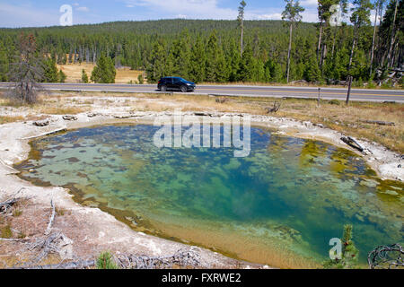 Leder-Pool am Brunnen Farbtopf, Yellowstone-Nationalpark Stockfoto