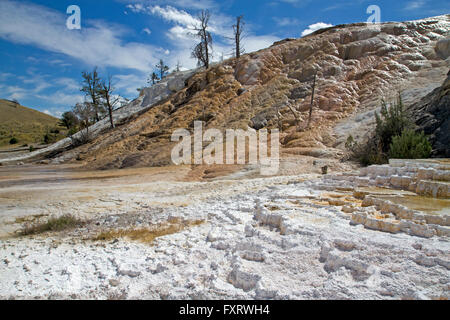 Travertin-Terrassen am Mammoth im Yellowstone National Park Stockfoto