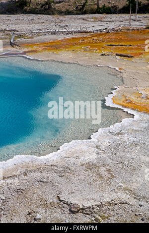 Silex-Frühling am Brunnen Farbtopf, Yellowstone-Nationalpark Stockfoto