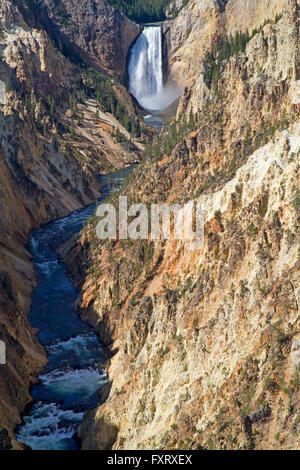 Lower Yellowstone Falls im Yellowstone National Park Stockfoto