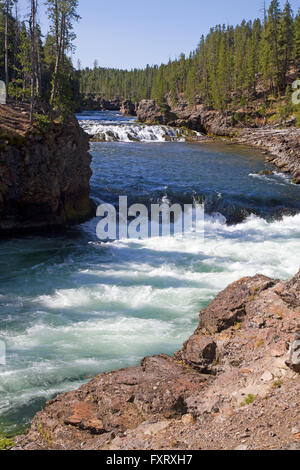 Yellowstone-Fluss, der durch den Yellowstone National Park Stockfoto