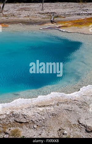 Silex-Frühling am Brunnen Farbtopf, Yellowstone-Nationalpark Stockfoto