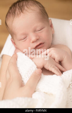 Neugeborene schlafen auf Blatt Stockfoto