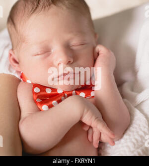 Neugeborene schlafen auf Blatt Stockfoto