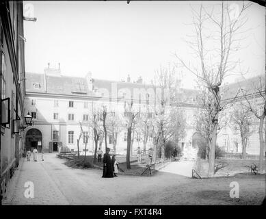 9, Allgemeines Krankenhaus Wien Stockfoto