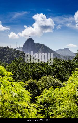 Christus der Erlöser Statue, Corcovado, Rio De Janeiro, Brasilien Stockfoto