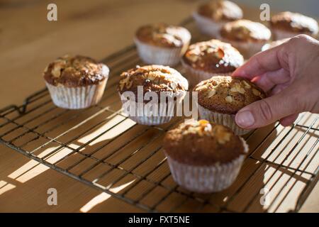 Hand, die Abholung Gluten freie Muffins von Kühlung Tablett Stockfoto