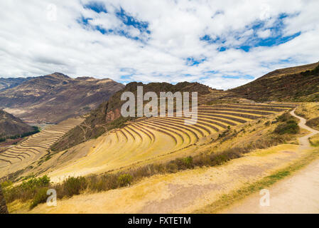 Weiten Blick auf die leuchtende majestätischen konzentrischen Terrassen von Pisac, Inkastätte in Sacred Valley, großen Reiseziel in C Stockfoto