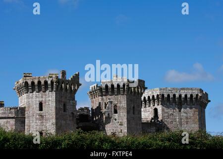 Raglan Castle vor blauem Himmel, South Wales Stockfoto