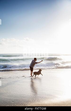 Mitte erwachsener Mensch und Hund spielen gemeinsam am Strand Stockfoto