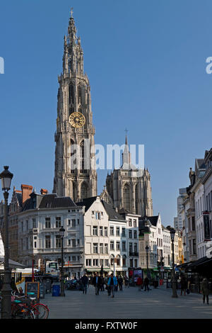 Onze-Lieve-Vrouwekathedraal und Suikerrui in Antwerpen, Belgien Stockfoto