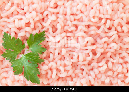 Frisches Hackfleisch Stockfoto