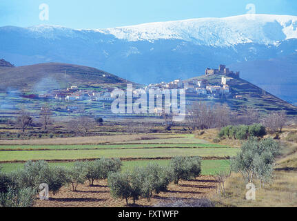 Olive Grove und Anbau Feld. Trasmoz, Zaragoza Provinz, Aragon, Spanien. Stockfoto