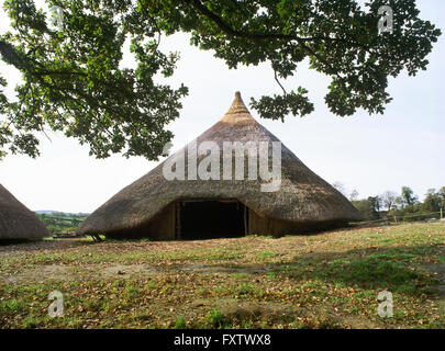 Rekonstruierter Ringlokschuppen 2 am Castell Henllys verteidigt Siedlung besetzt während der späten Bronzezeit & Eisenzeit, Pembrokeshire, Südwest-Wales, UK Stockfoto