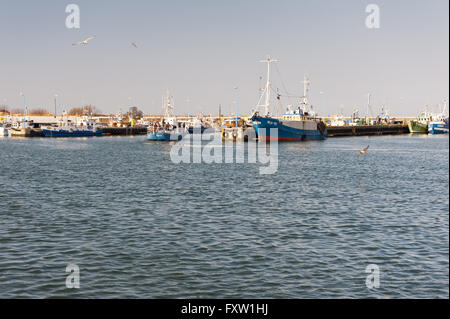 Fischereifahrzeuge im Szkuner Hafen in Wladyslawowo, Polen, Europa. Festgemachten Schiffe in einem Schoner Angeln Docks, Fisch-Industrie-Schiff Stockfoto
