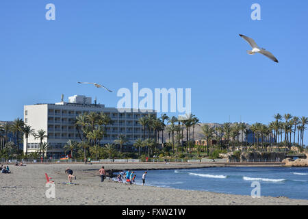 Der Arenal Strand mit Blick auf die 5 * Parador mit Möwen im Flug, Javea, Xabia, Alicante, Valencia, Spanien Stockfoto