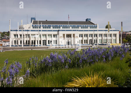 Seattle, Washington: The Museum of History & Industry und Lake Union Park im Frühjahr blühen. Stockfoto