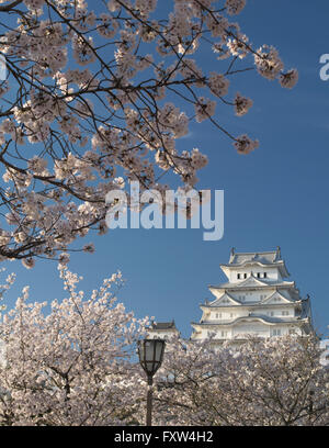 Burg Himeji und Cherry Blossom nach der Renovierung im Jahr 2015 abgeschlossen. Himeji Hyogo-Präfektur, Japan. Stockfoto