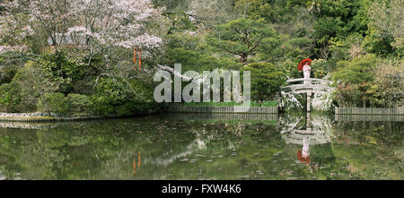 Japanische Frau im Kimono mit roten Wakasa Regenschirm auf Brücke an Ryōan-Ji Zen-Tempel beherbergt berühmte Steingarten, Kyoto, Japan Stockfoto