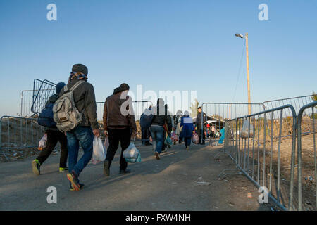 Flüchtlinge, Serbo-Kroatisch Grenzübertritt zwischen Berkasovo (Serbien) und Bapska (Kroatien) Stockfoto