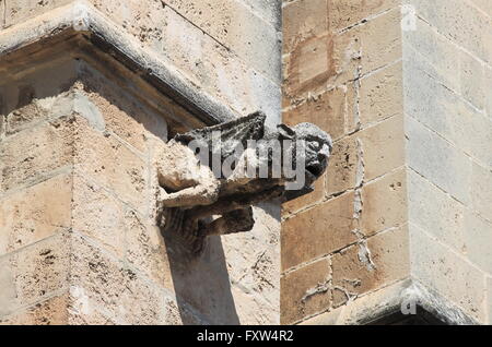 Wasserspeier in der Kathedrale von Palma De Mallorca, Spanien Stockfoto