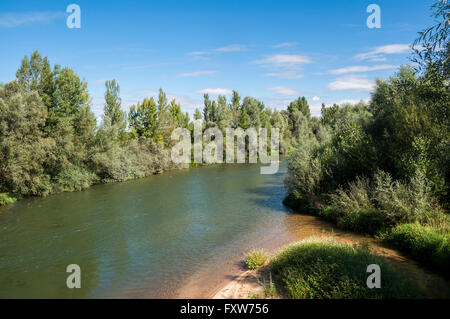 Blick auf den Fluss Esla auf seinem Weg durch Villanueva de Las Manzanas Gemeinde in der Provinz Leon, Spanien Stockfoto