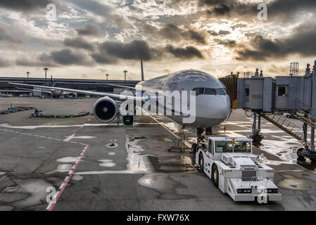 Boeing 767 All Nippon Airways am Flughafen Narita in Tokio Stockfoto