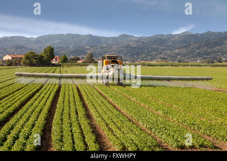 Landwirtschaft, Traktor Sprühen von Pestiziden auf Feld Hof Stockfoto