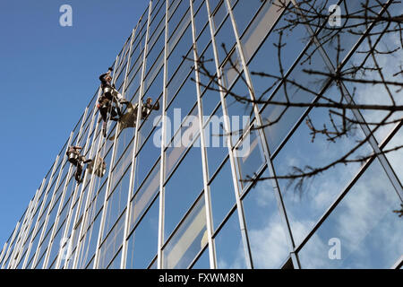London, England, Vereinigtes Königreich; 18. April 2016. Fenster-Reiniger Abseilen ein Bürogebäude-Fenster auf der Euston Road in London, an einem schönen hellen Frühlingsmorgen in der Hauptstadt. Bildnachweis: Andrew Lockie/Alamy Live-Nachrichten Stockfoto