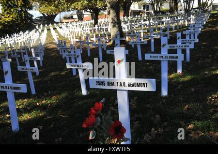 Wellington. 19. April 2016. Foto aufgenommen am 19. April 2016 zeigt weiße Kreuze mit Namen der gefallenen im ersten Weltkrieg am Botanischen Garten von Wellington, Neuseeland Soldaten. 1831 weiße Kreuze die Soldaten von Wellington Region gestorben 1915 und 1916 im ersten Weltkrieg wurden im Botanischen Garten von Wellington errichtet. Das Projekt ist Teil des New Zealand zum Gedenken an den Weltkrieg I. Kredit: Su Liang/Xinhua/Alamy Live News Stockfoto